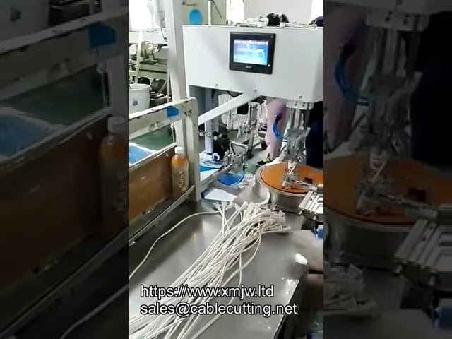 Automatic Wire Coiling, Winding, and Binding Machine for Electric Motor Coils