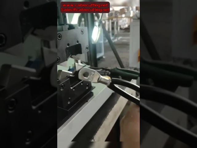 25-SQMM Cable Crimping Die, Hexagonal Terminal Crimping Machine Stamping Molds for Lugs