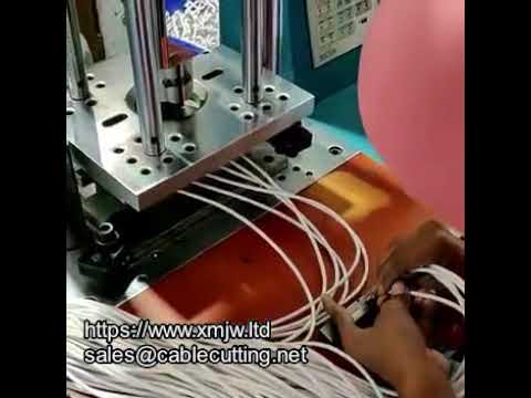 Injection Molding Machine Usb Data Cable Manufacturing Machine Charger Cable Assembly Machine WPM 15