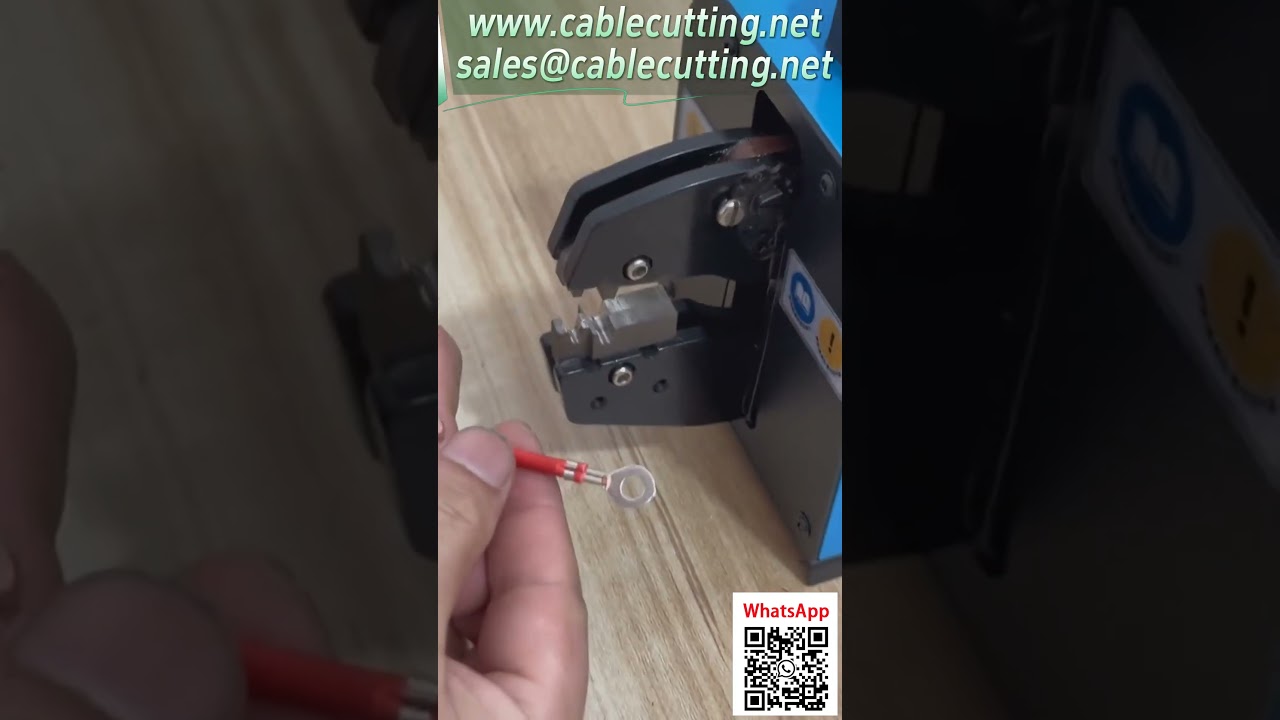 Custom Terminal Insertion and Processing Service for Wire Harness Manufacturing