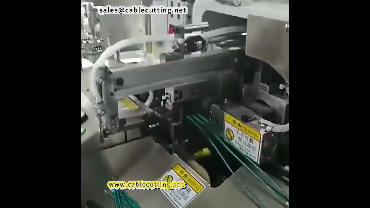 Automatic Double head Dip Tin Machine